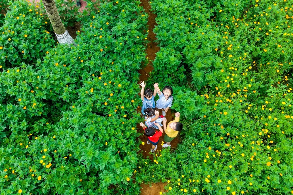 Tập đoàn Ecopark và những “dấu chân xanh” kiến tạo hạnh phúc - Ảnh 14.