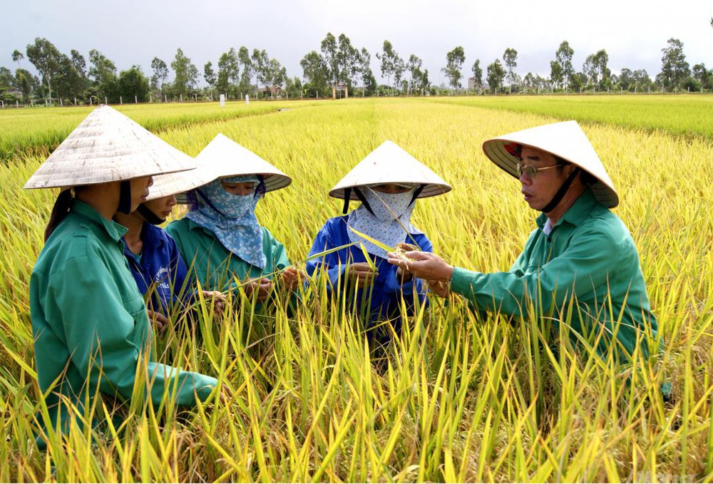 TS. Nguyễn Công Tiệp: “Doanh nghiệp tư nhân là đầu tàu kéo theo sự chuyển dịch tư duy và phương thức sản xuất nông nghiệp”- Ảnh 9. TS. Nguyễn Công Tiệp: “Doanh nghiệp tư nhân là đầu tàu kéo theo sự chuyển dịch tư duy và phương thức sản xuất nông nghiệp”- Ảnh 9.