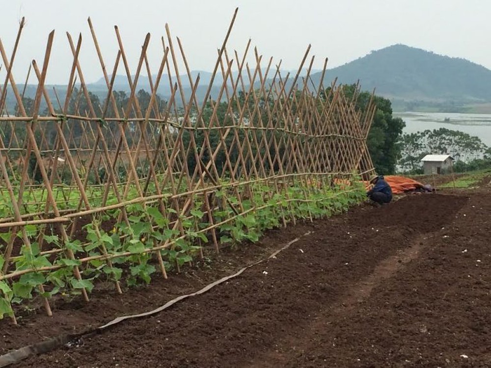 TS. Nguyễn Công Tiệp: “Doanh nghiệp tư nhân là đầu tàu kéo theo sự chuyển dịch tư duy và phương thức sản xuất nông nghiệp”- Ảnh 11. TS. Nguyễn Công Tiệp: “Doanh nghiệp tư nhân là đầu tàu kéo theo sự chuyển dịch tư duy và phương thức sản xuất nông nghiệp”- Ảnh 11.