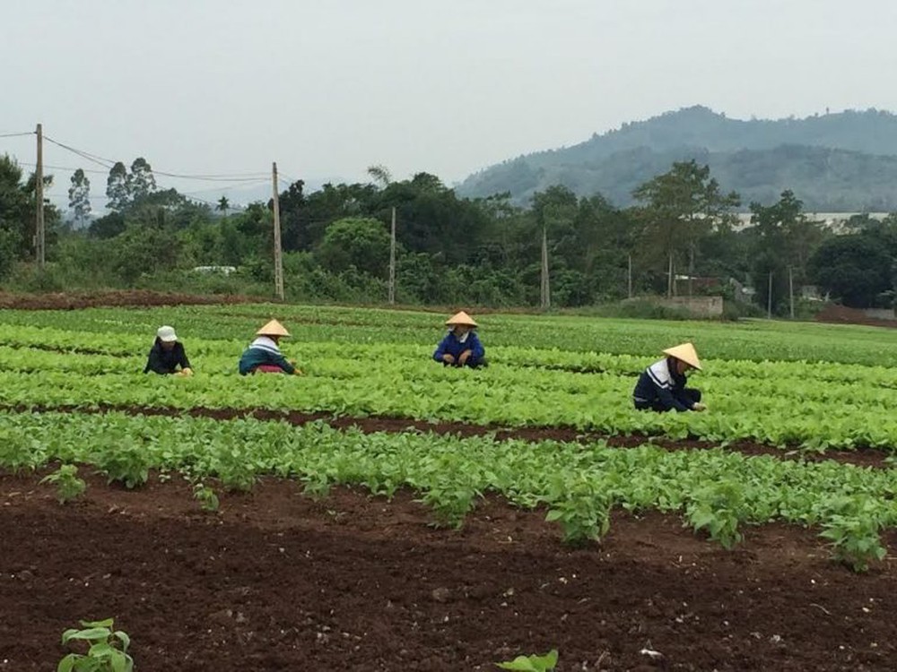 TS. Nguyễn Công Tiệp: “Doanh nghiệp tư nhân là đầu tàu kéo theo sự chuyển dịch tư duy và phương thức sản xuất nông nghiệp”- Ảnh 13. TS. Nguyễn Công Tiệp: “Doanh nghiệp tư nhân là đầu tàu kéo theo sự chuyển dịch tư duy và phương thức sản xuất nông nghiệp”- Ảnh 13.