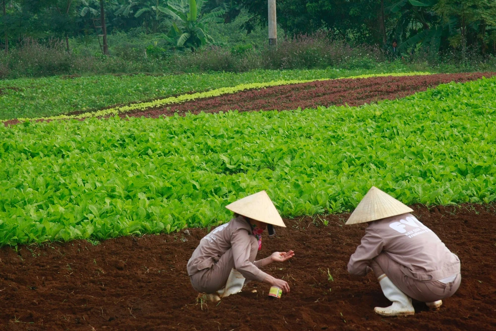 TS. Nguyễn Công Tiệp: “Doanh nghiệp tư nhân là đầu tàu kéo theo sự chuyển dịch tư duy và phương thức sản xuất nông nghiệp”- Ảnh 10. TS. Nguyễn Công Tiệp: “Doanh nghiệp tư nhân là đầu tàu kéo theo sự chuyển dịch tư duy và phương thức sản xuất nông nghiệp”- Ảnh 10.