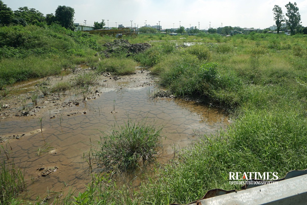 Hà Nội: Dự án Bệnh viện đa khoa Thanh Xuân hơn 10 năm vẫn là bãi cỏ mọc lãng phí- Ảnh 12. Hà Nội: Dự án Bệnh viện đa khoa Thanh Xuân hơn 10 năm vẫn là bãi cỏ mọc lãng phí- Ảnh 12.