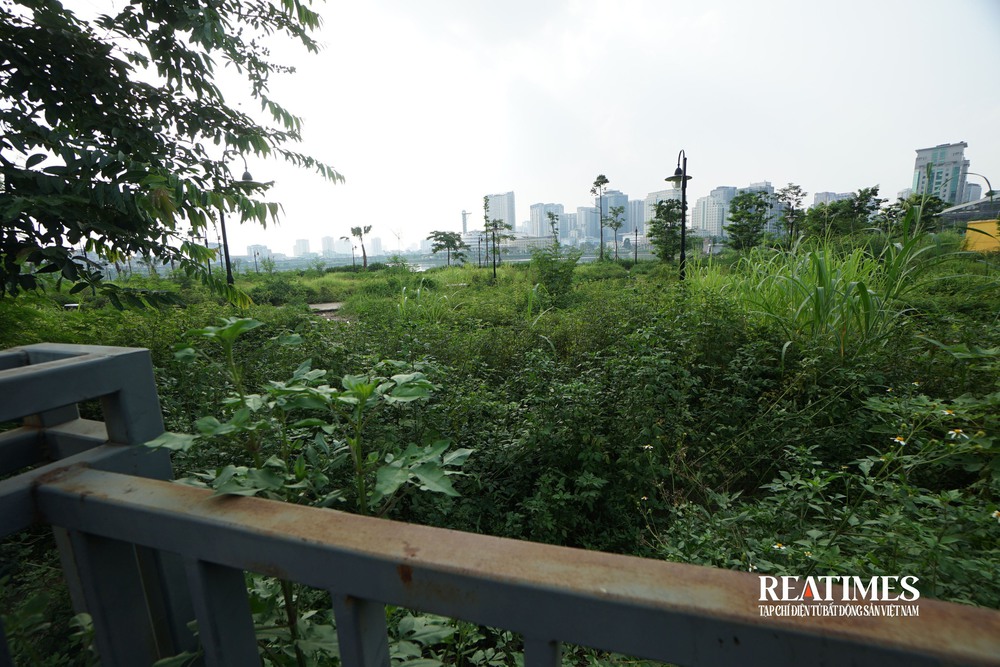 Hà Nội: Cỏ mọc um tùm, rác thải bốc mùi ở công viên hồ điều hoà 744 tỷ đồng- Ảnh 1. Hà Nội: Cỏ mọc um tùm, rác thải bốc mùi ở công viên hồ điều hoà 744 tỷ đồng- Ảnh 1.