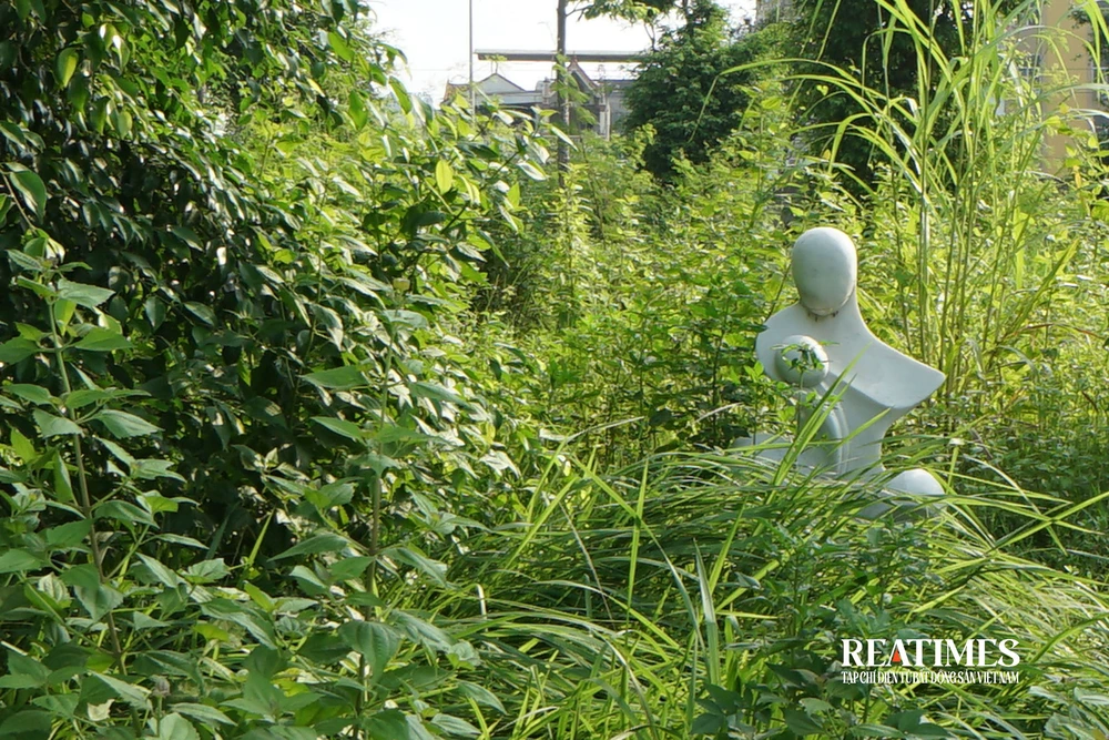 Hà Nội: Cỏ mọc um tùm, rác thải bốc mùi ở công viên hồ điều hoà 744 tỷ đồng- Ảnh 21. Hà Nội: Cỏ mọc um tùm, rác thải bốc mùi ở công viên hồ điều hoà 744 tỷ đồng- Ảnh 21.