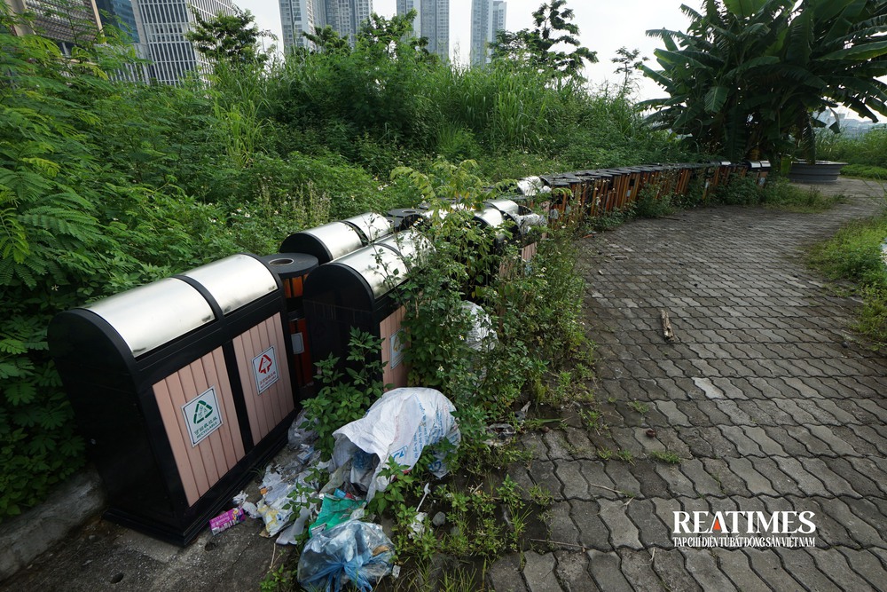 Hà Nội: Cỏ mọc um tùm, rác thải bốc mùi ở công viên hồ điều hoà 744 tỷ đồng- Ảnh 8. Hà Nội: Cỏ mọc um tùm, rác thải bốc mùi ở công viên hồ điều hoà 744 tỷ đồng- Ảnh 8.