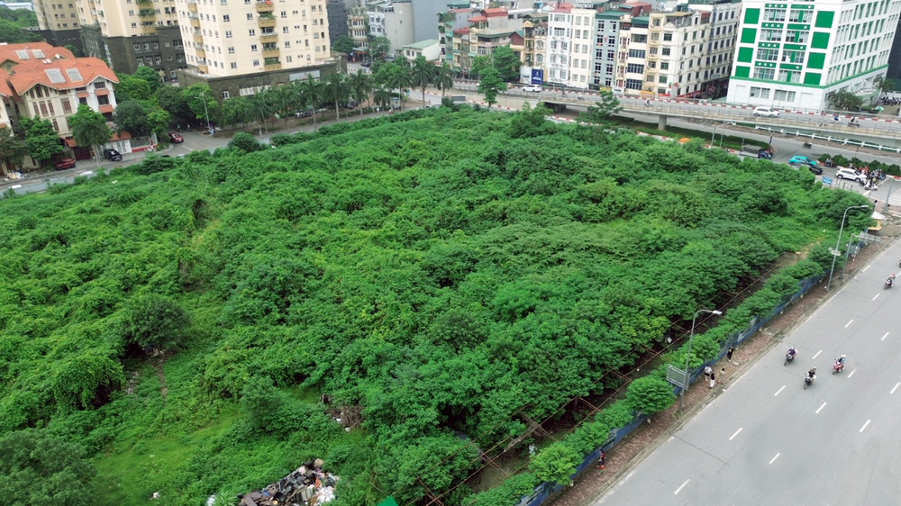 Hà Nội: Dự án tháp tài chính quốc tế hơn 13.000m2 đất sau 20 năm để cỏ mọc hoang gây lãng phí- Ảnh 10. Hà Nội: Dự án tháp tài chính quốc tế hơn 13.000m2 đất sau 20 năm để cỏ mọc hoang gây lãng phí- Ảnh 10.
