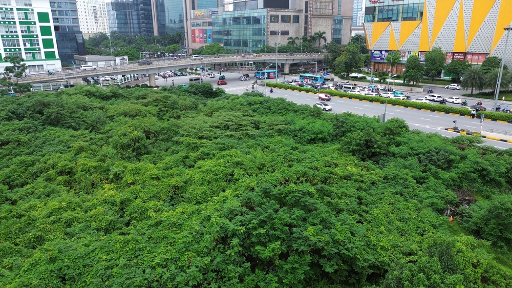 Hà Nội: Dự án tháp tài chính quốc tế hơn 13.000m2 đất sau 20 năm để cỏ mọc hoang gây lãng phí- Ảnh 8. Hà Nội: Dự án tháp tài chính quốc tế hơn 13.000m2 đất sau 20 năm để cỏ mọc hoang gây lãng phí- Ảnh 8.