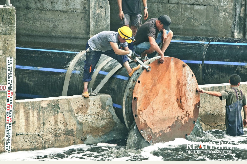 Hà Nội: "Hồi sinh" sông Tô Lịch, nước trong xanh cá bơi lội- Ảnh 6.