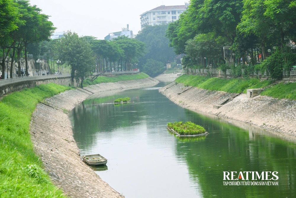 Hà Nội: "Hồi sinh" sông Tô Lịch, nước trong xanh cá bơi lội- Ảnh 11.