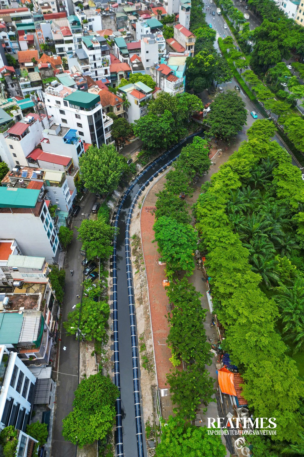 Hà Nội: "Hồi sinh" sông Tô Lịch, nước trong xanh cá bơi lội- Ảnh 28.