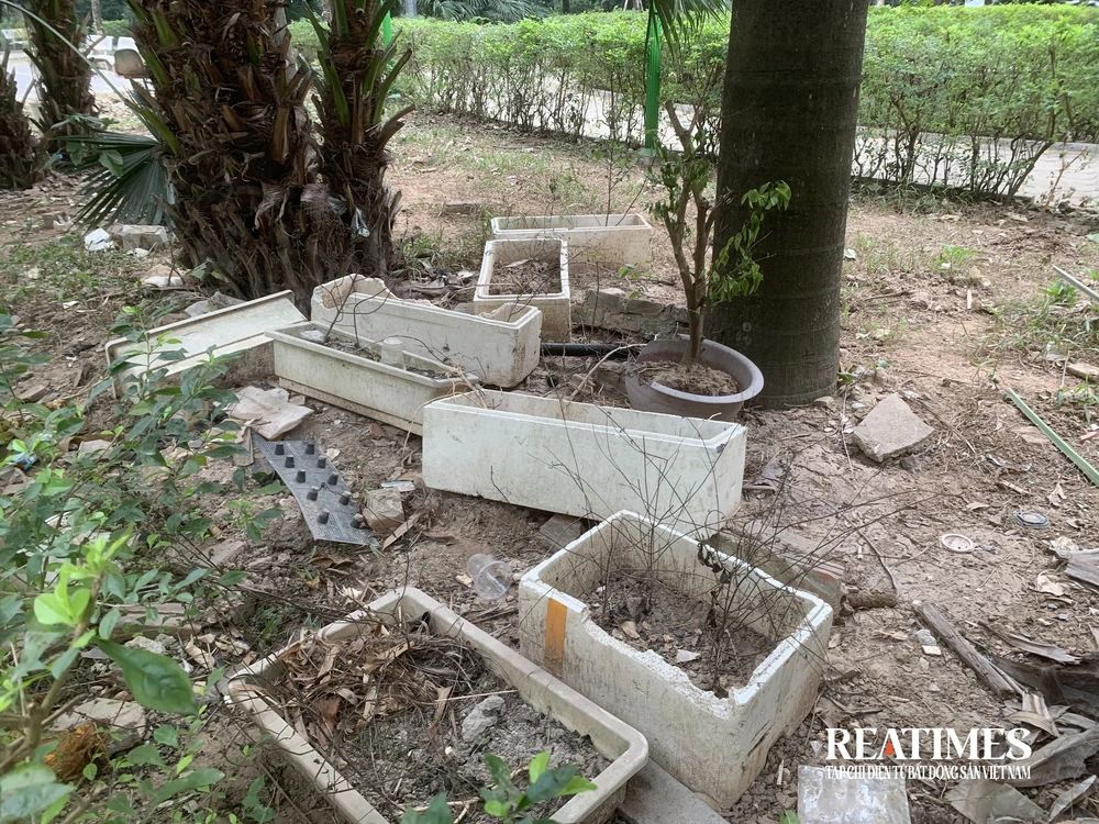 Hà Nội: Vườn hoa 52 tỷ đồng xuống cấp, để hoang lãng phí- Ảnh 18.
