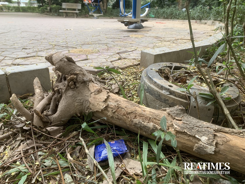 Hà Nội: Vườn hoa 52 tỷ đồng xuống cấp, để hoang lãng phí- Ảnh 24.
