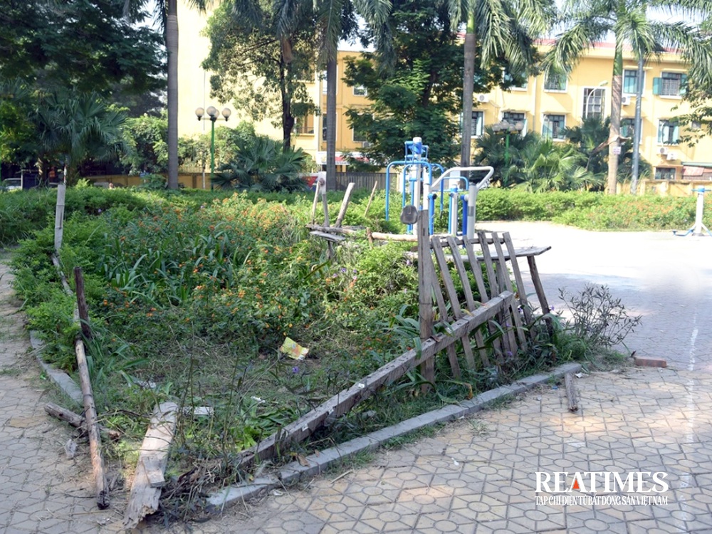 Hà Nội: Vườn hoa 52 tỷ đồng xuống cấp, để hoang lãng phí- Ảnh 9.