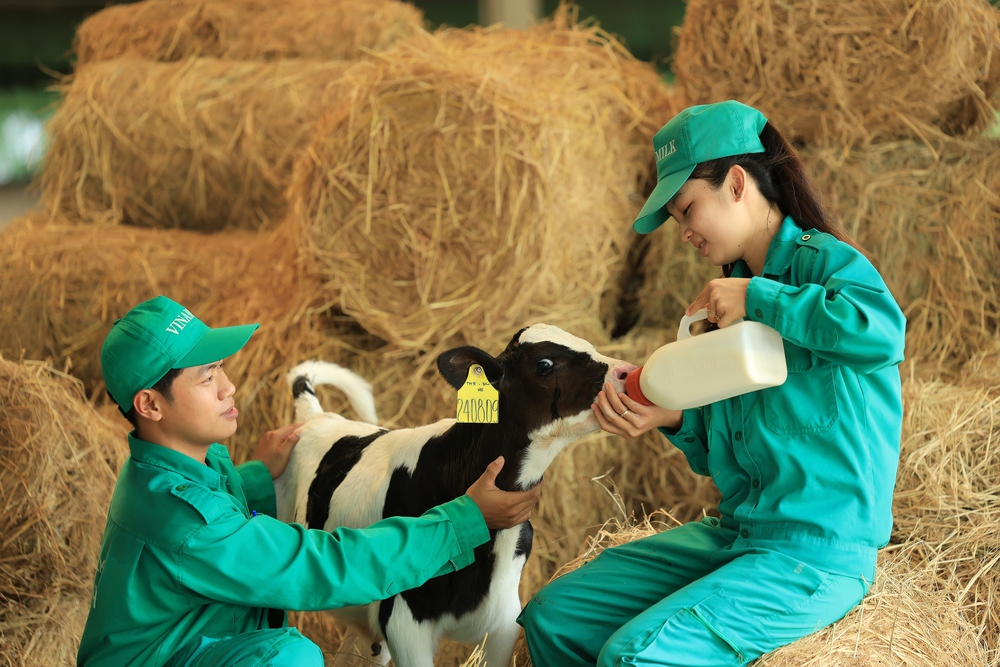 "Tiếng vang" của ngành sữa Việt và những bước tiên phong của Vinamilk- Ảnh 12.