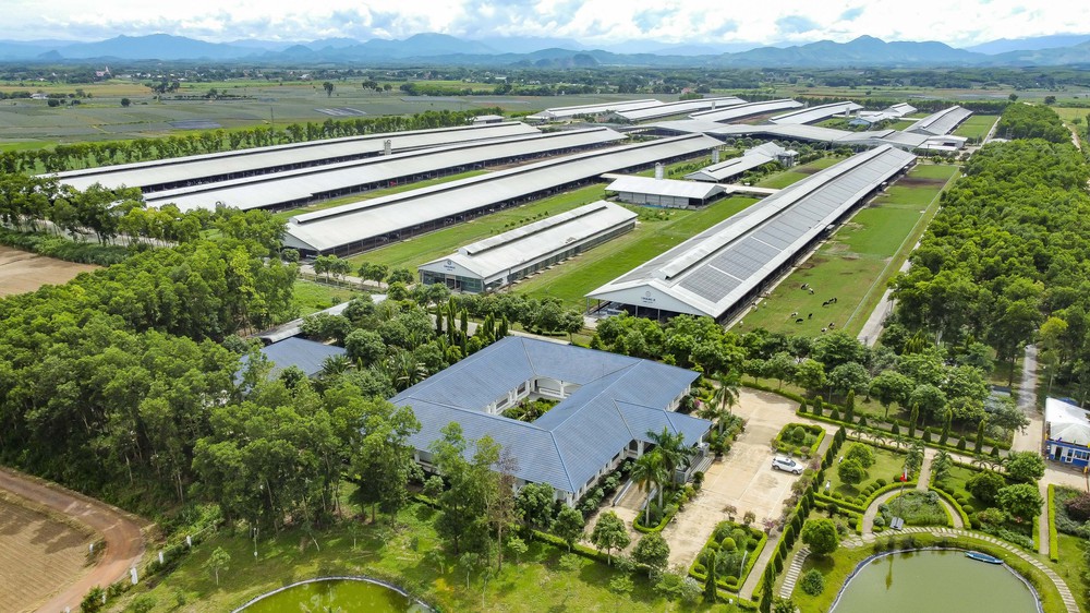"Tiếng vang" của ngành sữa Việt và những bước tiên phong của Vinamilk- Ảnh 11.