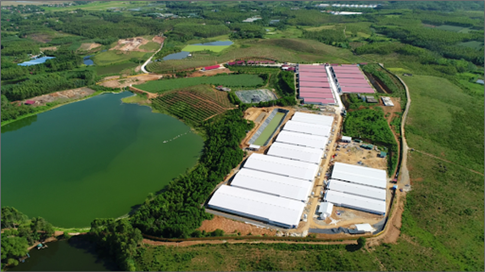 Tập đoàn Dabaco Việt Nam: Từ vị thế dẫn đầu ngành chăn nuôi đến khát vọng nâng tầm nông nghiệp Việt- Ảnh 8. Tập đoàn Dabaco Việt Nam: Từ vị thế dẫn đầu ngành chăn nuôi đến khát vọng nâng tầm nông nghiệp Việt- Ảnh 8.