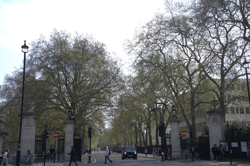 Phố Tây - Phố Ta…- Ảnh 5.