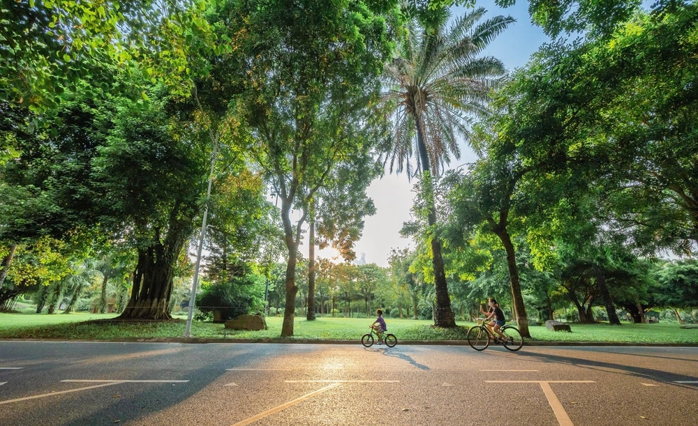 TS. Võ Trí Thành: Chuyển đổi xanh là “mệnh lệnh kép” của Việt Nam- Ảnh 6. TS. Võ Trí Thành: Chuyển đổi xanh là “mệnh lệnh kép” của Việt Nam- Ảnh 6.