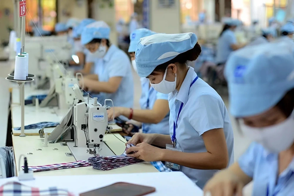 GS.TS. Lê Hồng Hạnh: “Đã đến lúc doanh nghiệp Việt tự mình xoay trục, đón gió Đông để vươn lên” - Ảnh 3.