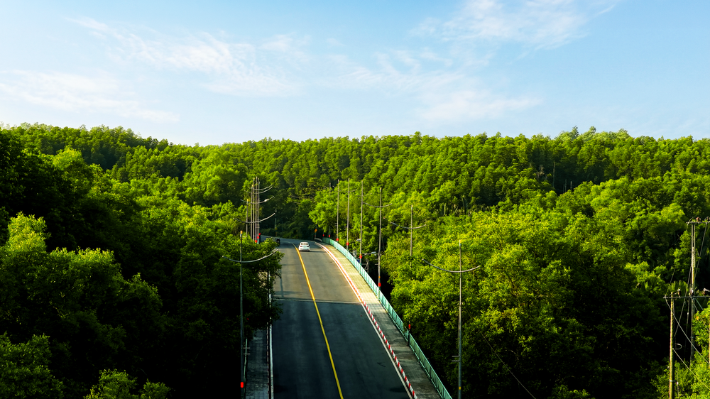 "Cá mập" ngoại tăng tốc nhập cuộc, bất động sản Việt Nam bước vào cuộc đua mới- Ảnh 7.