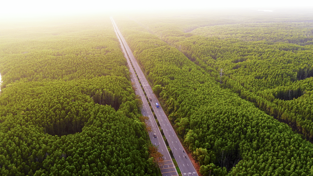 "Cá mập" ngoại tăng tốc nhập cuộc, bất động sản Việt Nam bước vào cuộc đua mới- Ảnh 6.