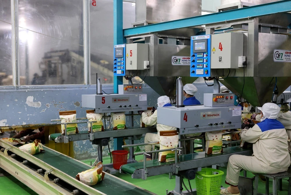 GS. TS. Hoàng Văn Cường: Nếu muốn bứt phá, Việt Nam không thể đi theo quỹ đạo tăng trưởng “an toàn”- Ảnh 2.