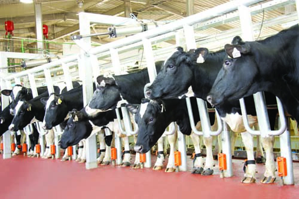Đại sứ Vũ Quang Minh: Niềm tin và hệ giá trị văn hóa đang trở thành “tài sản chiến lược” của quốc gia- Ảnh 14.