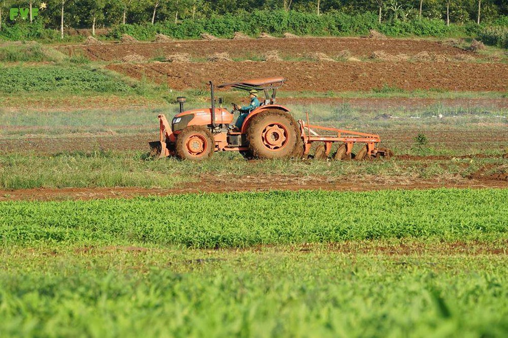 Đại sứ Vũ Quang Minh: Doanh nghiệp Việt cần những biểu tượng mới của tri thức, công nghệ và phát triển bền vững- Ảnh 15.
