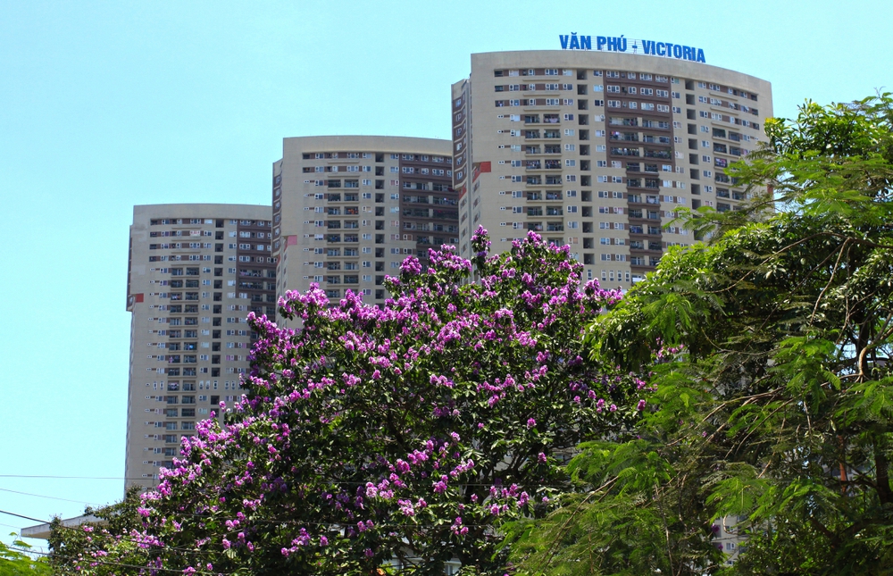 Kiên định triết lý "vị nhân sinh", Văn Phú thắng lớn tại Giải thưởng Quốc gia Bất động sản Việt Nam- Ảnh 6.