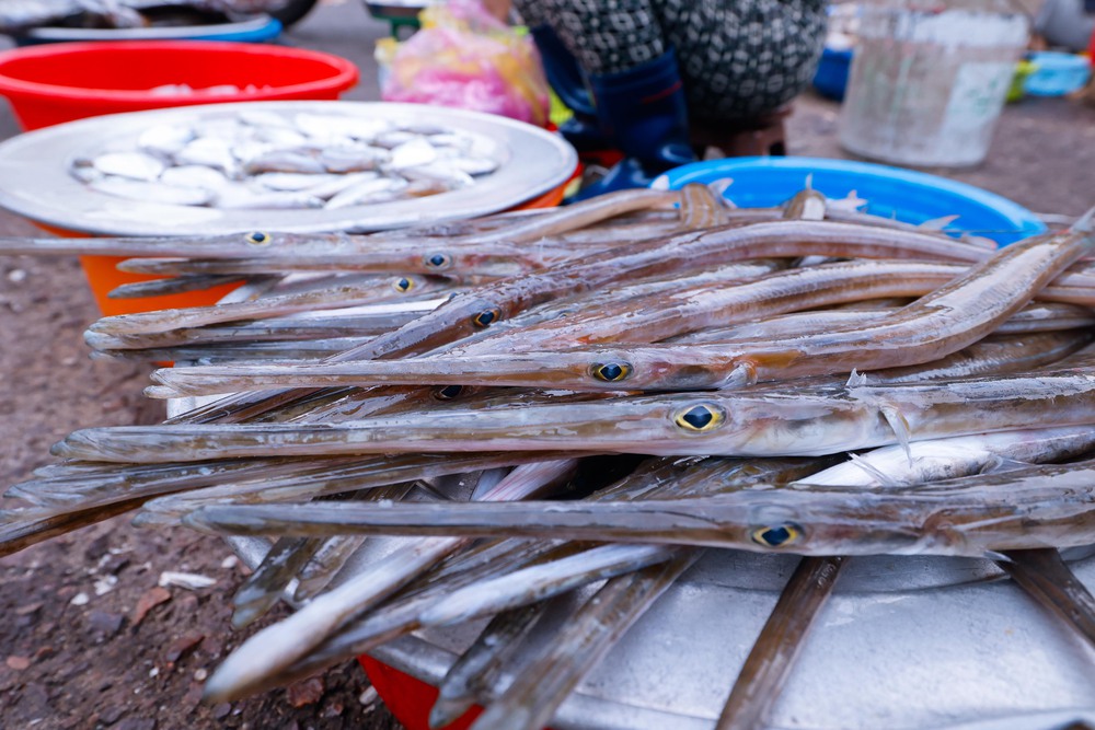 Phiên chợ cá sớm ở làng chài Nhơn Lý - Ảnh 8.