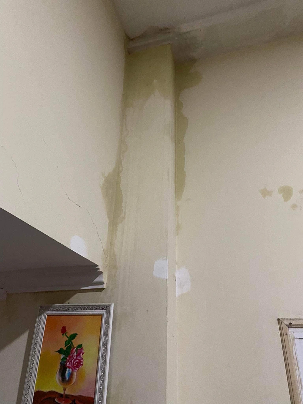 Từ nhà trọ đến nhà ở cho thuê hiện đại: Cần một hệ quy chuẩn mới - Ảnh 4.