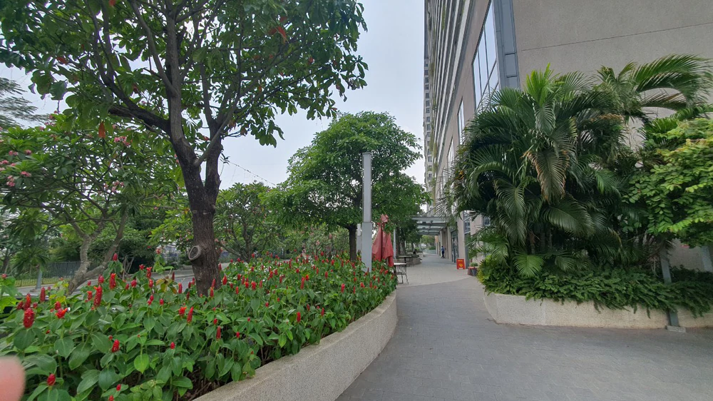 CEO Phuc Khang Corporation: Thị trường sẽ chuyển từ kỳ vọng ngắn hạn sang giá trị thực - Ảnh 3.