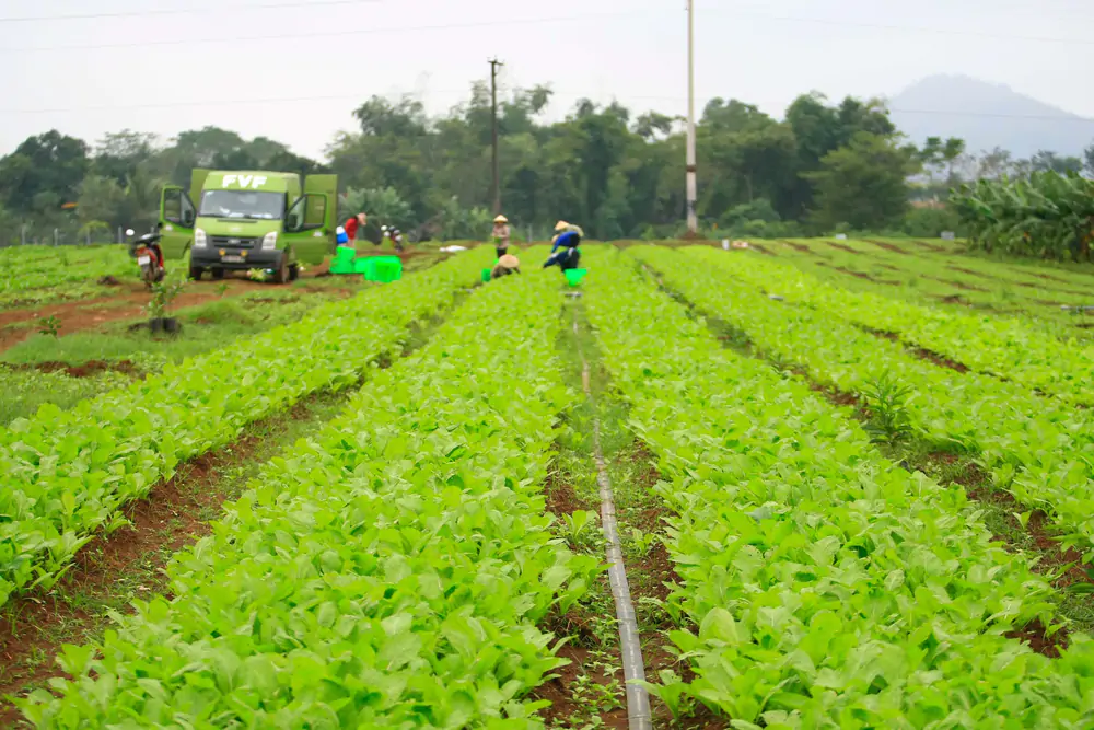 Kiến tạo chính sách để doanh nhân dân tộc mở rộng “biên độ” phát triển của Việt Nam - Ảnh 21.