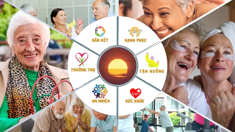 Kinh tế bạc: Định hình những động lực tăng trưởng mới trong bối cảnh già hóa dân số - Ảnh 7.