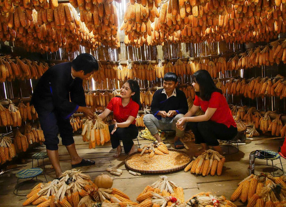 Bài 5: Kiến tạo hệ sinh thái “tam nông”: 5 đột phá biến nguồn lực thành năng lực phát triển quốc gia - Ảnh 8.