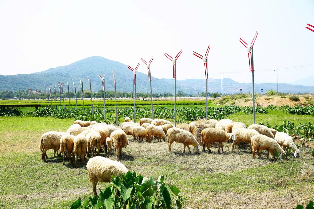Bài 5: Kiến tạo hệ sinh thái “tam nông”: 5 đột phá biến nguồn lực thành năng lực phát triển quốc gia - Ảnh 23.