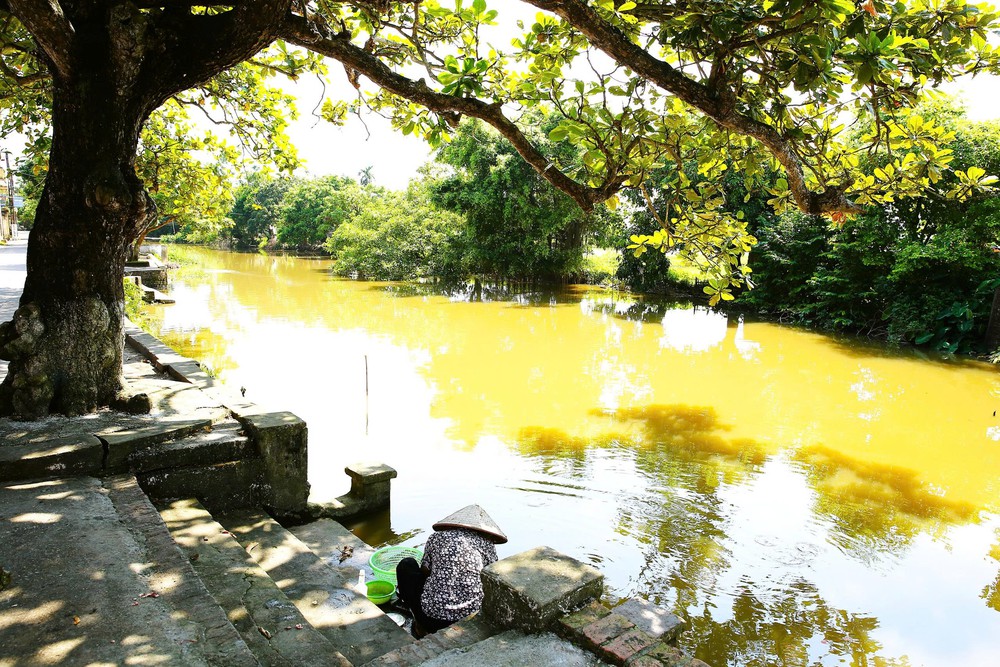 Bài 1: “Tam nông” từ chiều sâu lịch sử đến vị thế mới trong kỷ nguyên thịnh vượng của dân tộc - Ảnh 15.