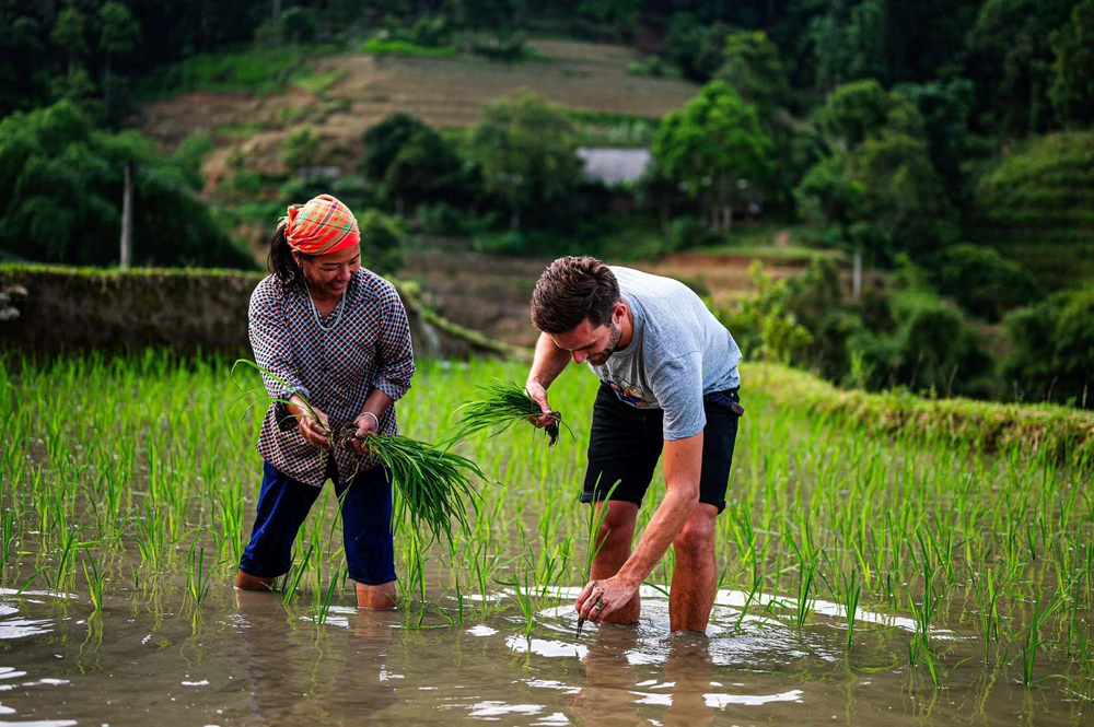 Du lịch Việt Nam trong kỷ nguyên mới: Từ chính sách đột phá đến sức bật tăng trưởng - Ảnh 5.