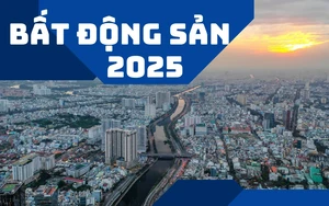 Thị trường bất động sản 2025: 