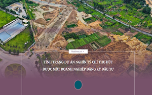 Thấy gì từ hiện tượng doanh nghiệp 