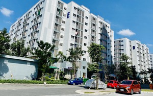Nhiều chính sách phát triển nhà ở, vì sao kết quả vẫn không như kỳ vọng?- Ảnh 3.