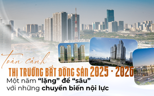 Bất động sản 2025: Một năm “lặng” để “sâu” - chờ đợi những chuyển biến nội lực