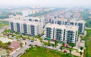 Thí điểm chỉ định thầu: 