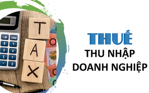 VNREA kiến nghị áp dụng Luật Thuế TNDN sửa đổi từ kỳ tính thuế 2025