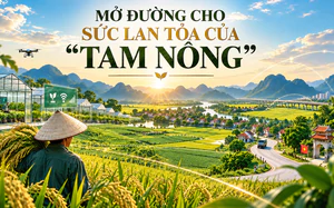 Bài 4: Tổ chức lại sản xuất, kết nối nguồn lực để “tam nông” trở thành năng lực phát triển quốc gia - Ảnh 2.