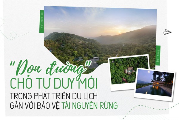 Khám Phá Thế Giới của 8xx - Cách Khai Thác Tiềm Năng Đa Dạng của Xu Hướng Mới