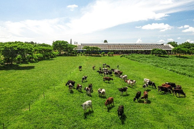 Người dân hưởng lợi gì khi doanh nghiệp làm “Net Zero”- Ảnh 10.