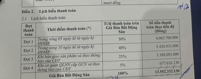 Biệt thự 24,5 tỷ đồng rao cắt lỗ 10,5 tỷ vẫn 'ế': Phía sau "nỗi buồn" của nhà đầu tư- Ảnh 3.