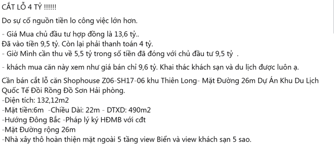 Biệt thự 24,5 tỷ đồng rao cắt lỗ 10,5 tỷ vẫn 'ế': Phía sau "nỗi buồn" của nhà đầu tư- Ảnh 2.