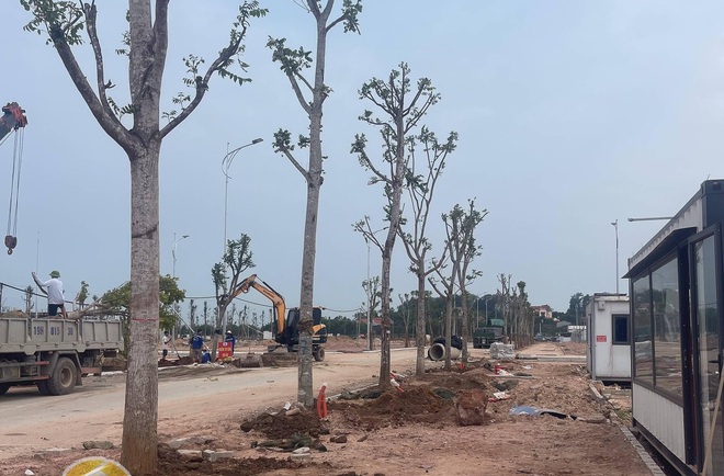 Bắc Giang: Rủi ro mất tiền khi booking tại dự án Hawee Parkland Cao Thượng với điều khoản "5 phút"- Ảnh 4. Bắc Giang: Rủi ro mất tiền khi booking tại dự án Hawee Parkland Cao Thượng với điều khoản "5 phút"- Ảnh 4.